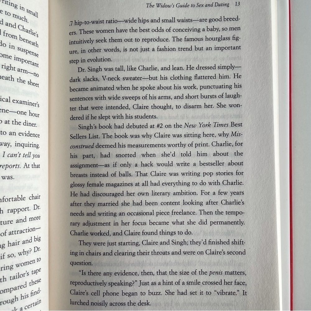 BOOK, The Widow’s Guide to Sex & Dating, a novel, 302 pages, Fiction, NOS - Picture 12 of 16